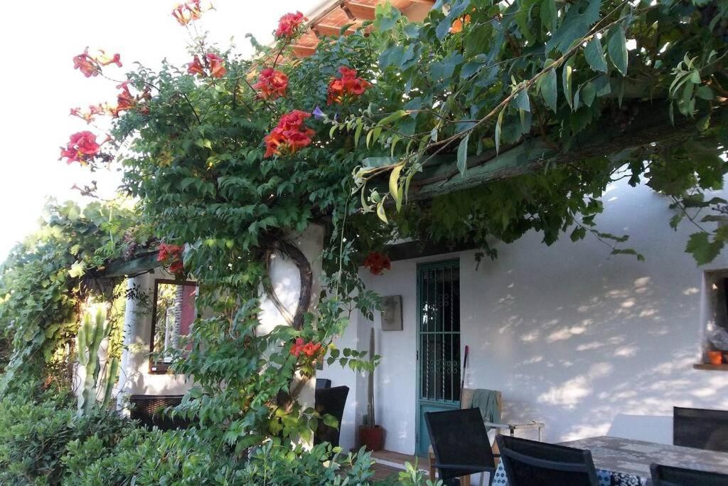 Cortijo Con Encanto Villa Cullera Exteriör bild